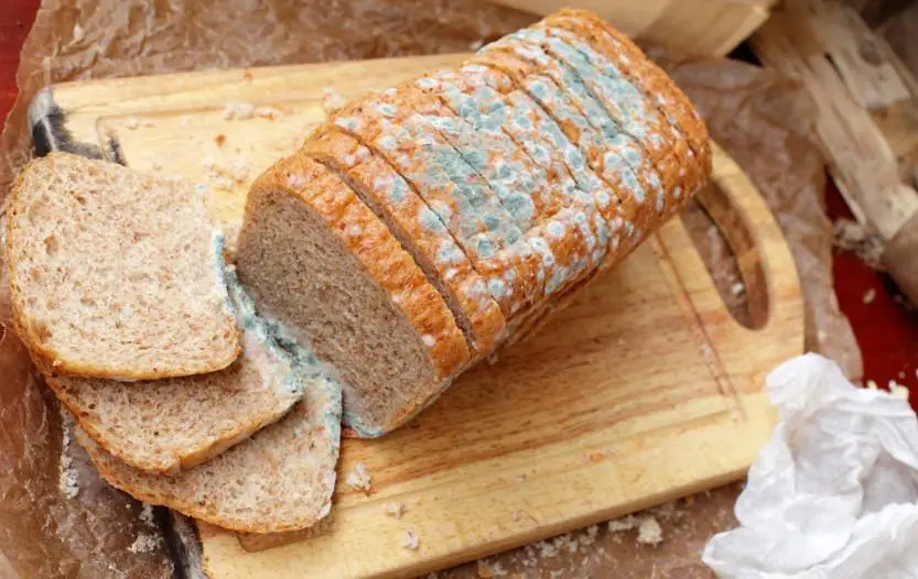 Loaf of bread showing visible food spoilage