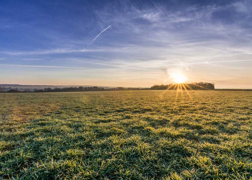 Open rural land at sunset
