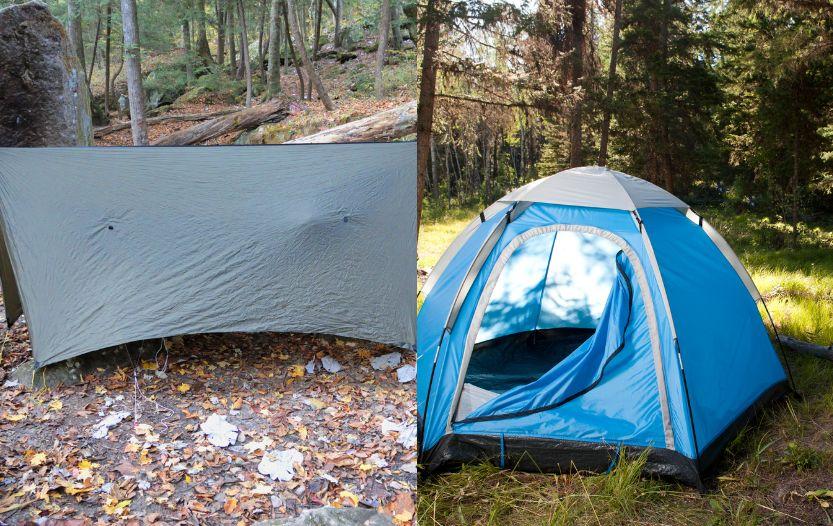 Tarp shelter and camping tent in a forest