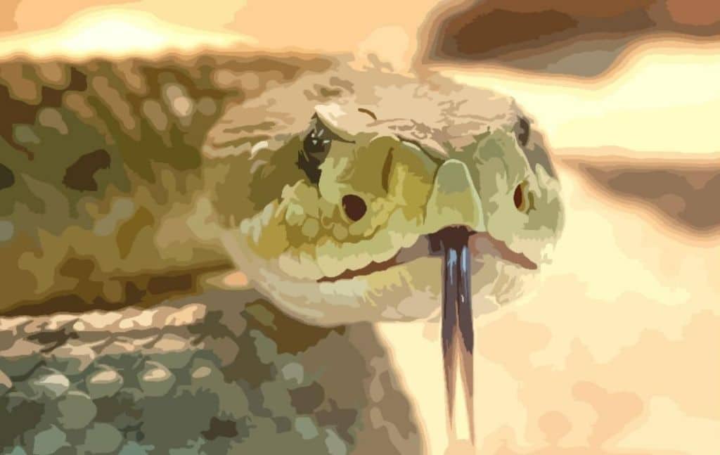 Close view of a snake with its tongue extended