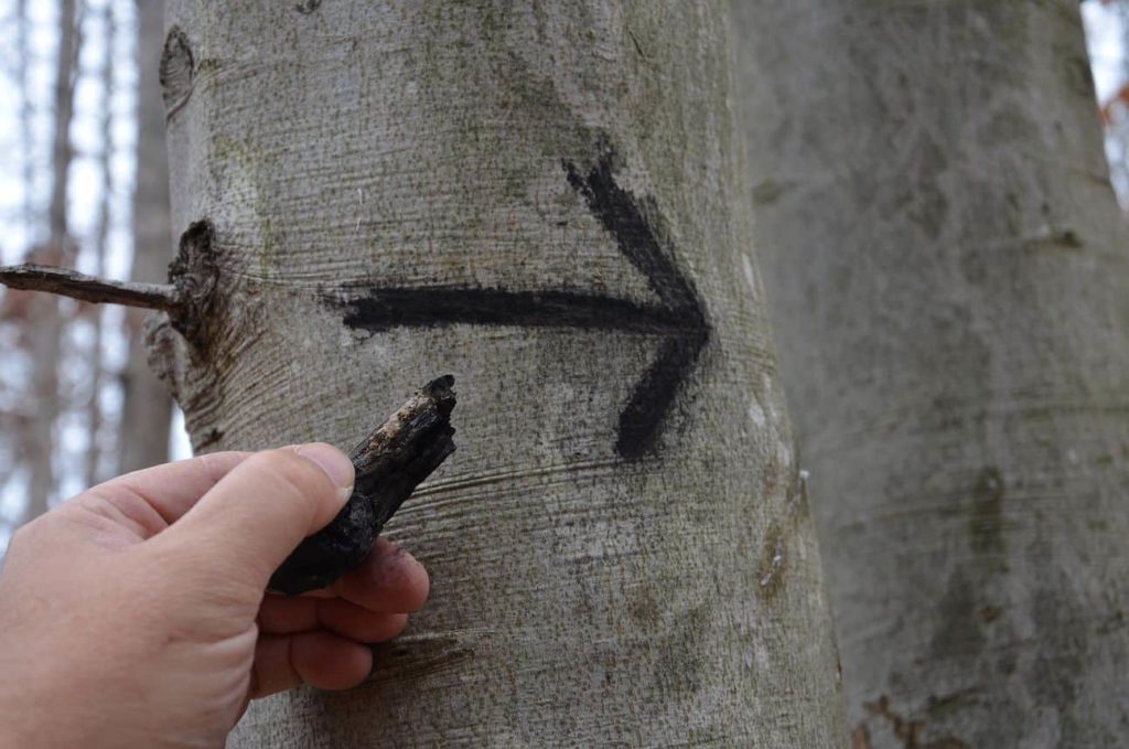 Hand drawing a direction arrow on a tree with charcoal
