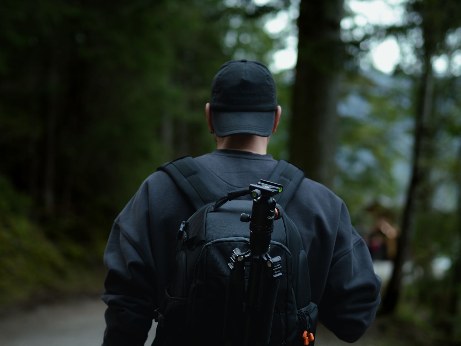 Hiker carrying a camera tripod through a green forest