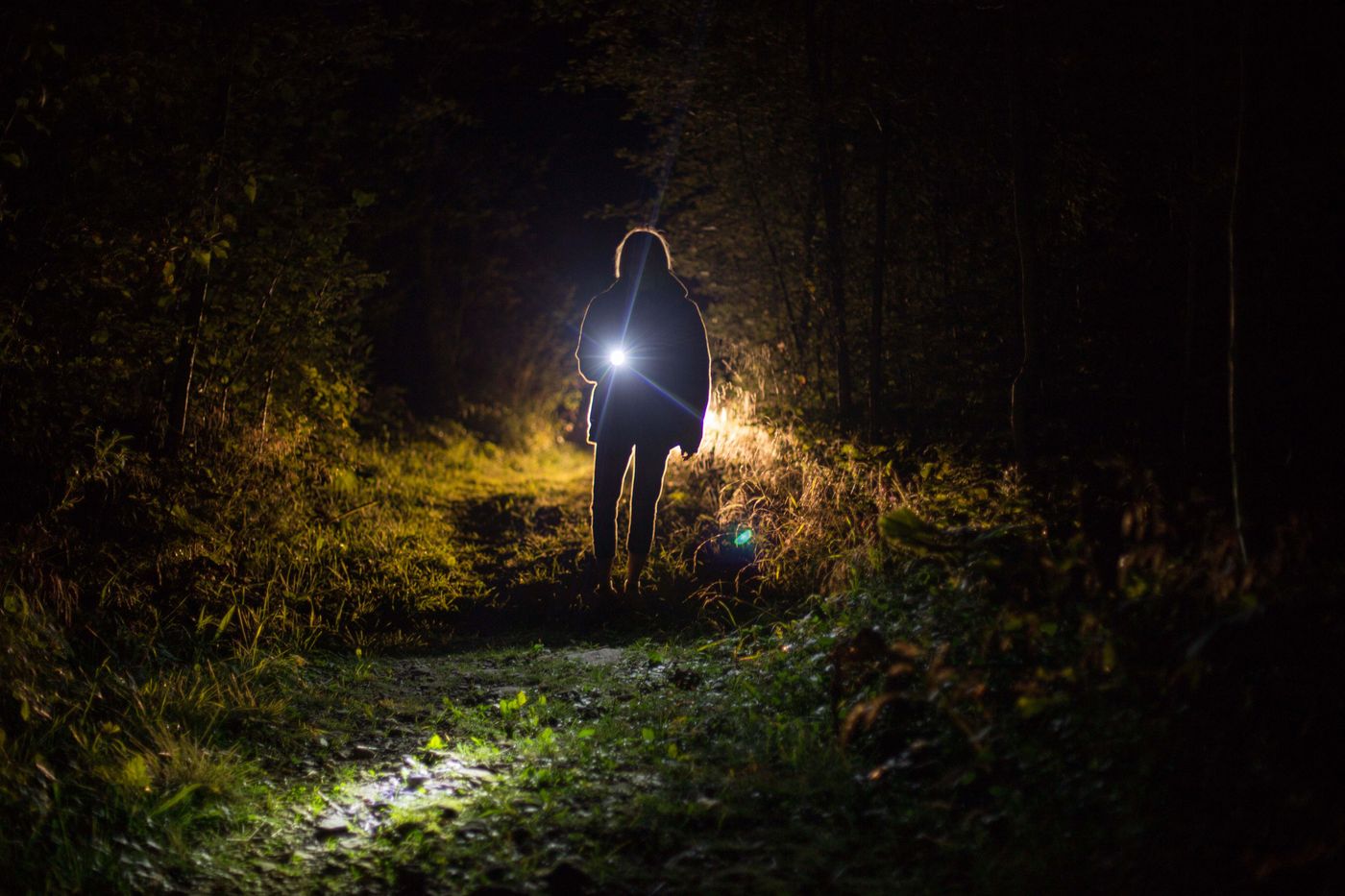 Person using a flashlight to navigate a dark forest path