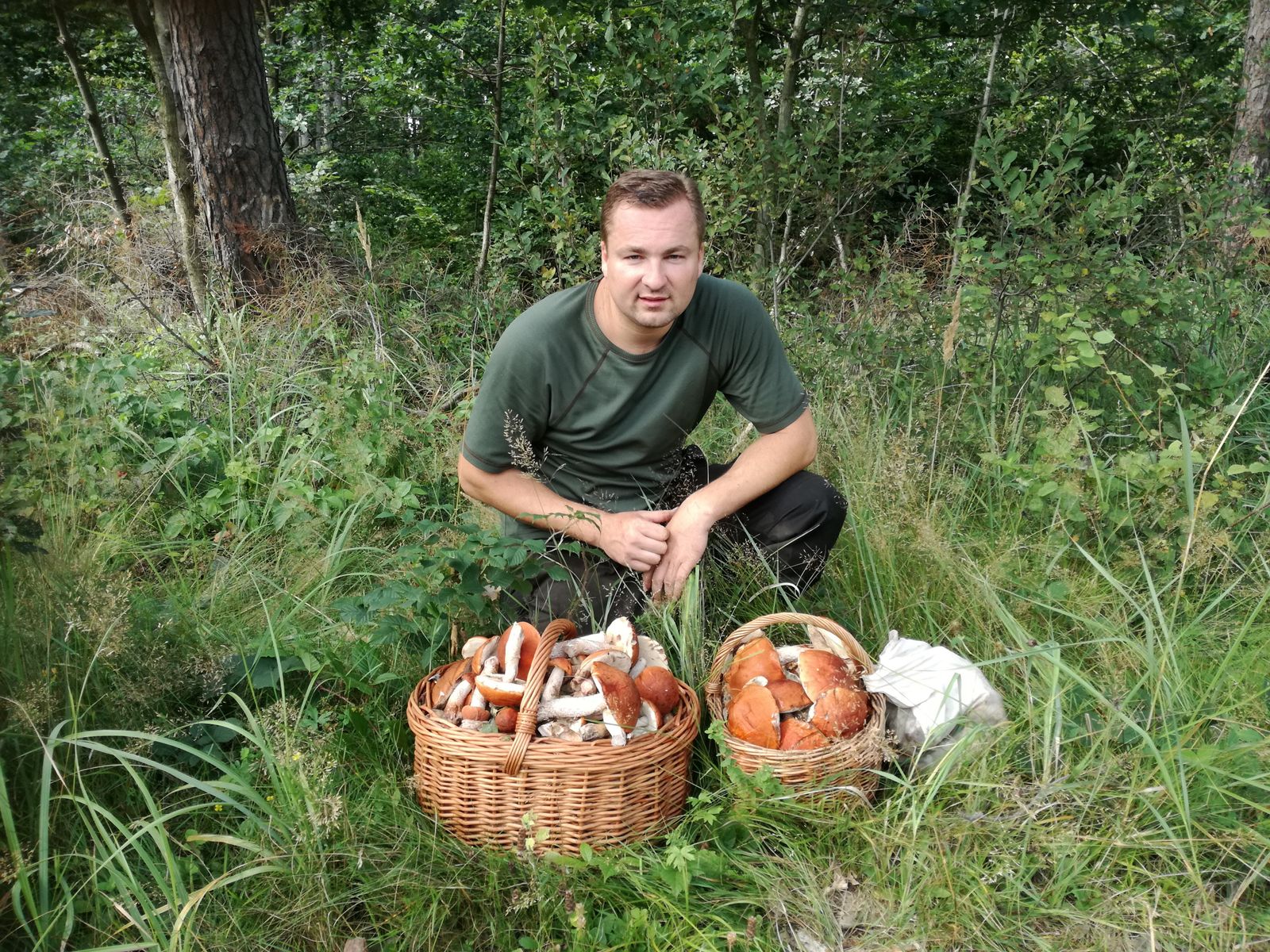 Person gathering wild mushrooms in a green forest