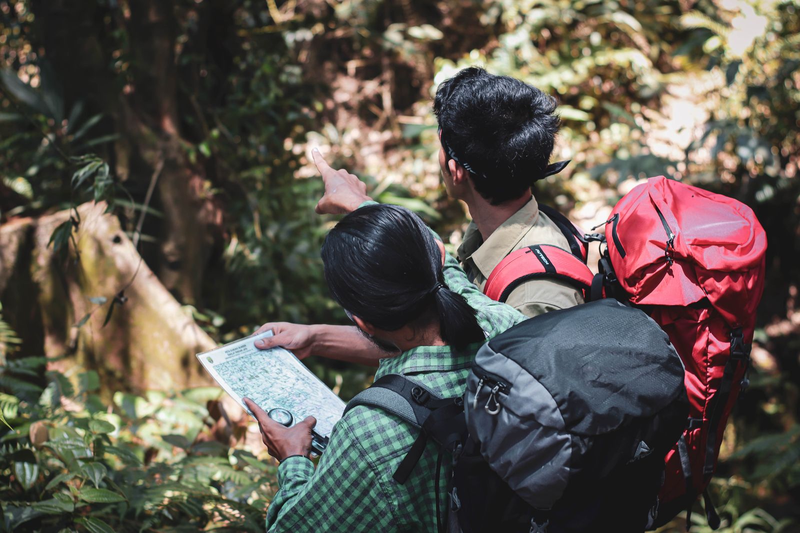 Two hikers checking a map while navigating a forest trail
