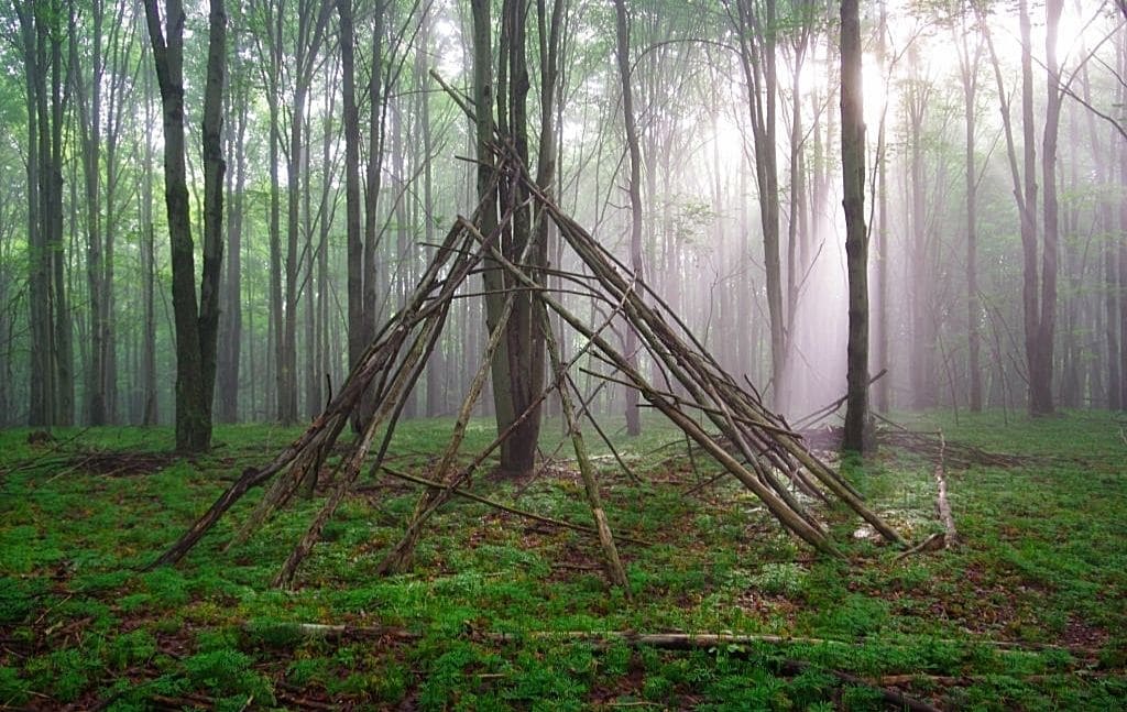 Triangular pole frame standing in a forest