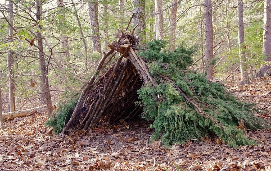 Small branch shelter partly covered with evergreen boughs