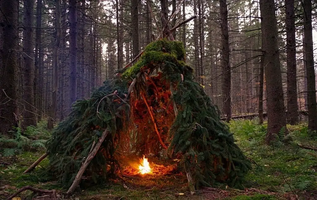 Small conical woodland shelter covered with evergreen boughs