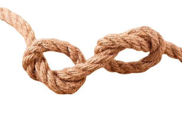 crossing point survival knot definition