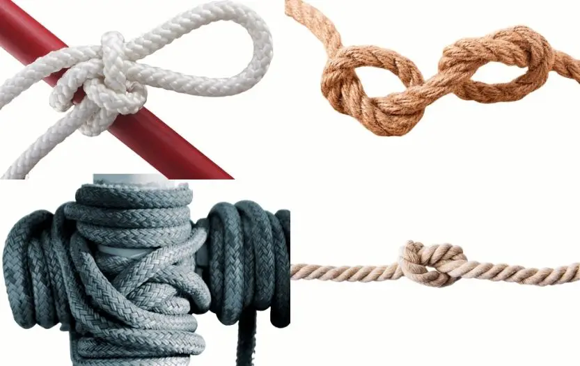 Survival Knot Definitions You Must Know Now