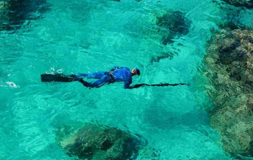 Spearfishing For Beginners (The Ultimate Guide)