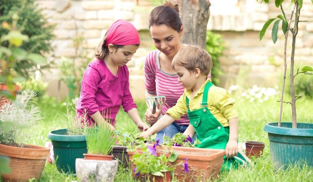 How to Grow Food Survival Skills for Kids