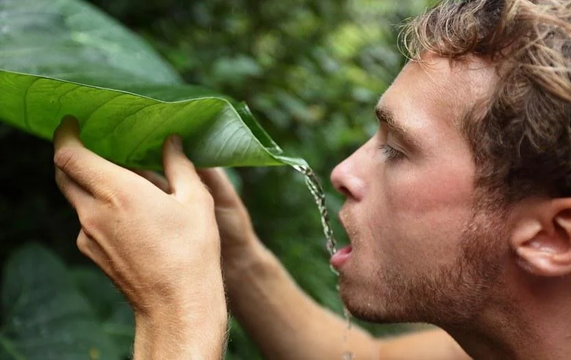 How To Find Drinking Water in the Wild [Ultimate Guide 2023]