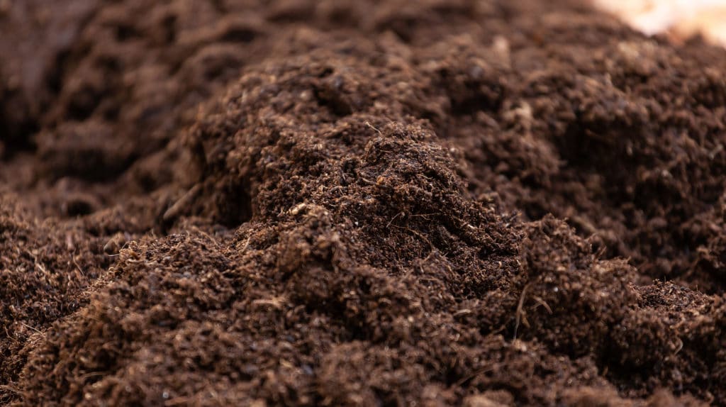 Simple Ways to Improve Your Soil