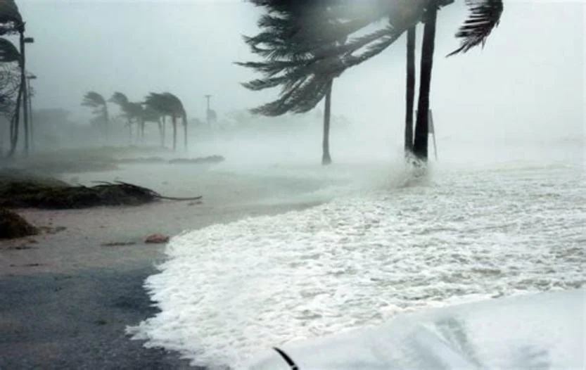 31 Hurricane Survival Tips [Best Checklist for 2023]