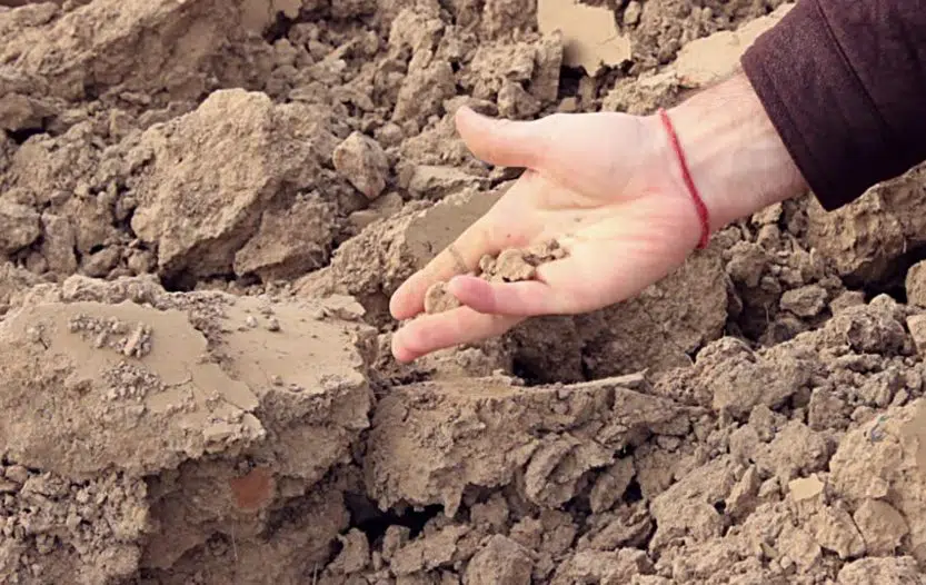 8 Common Soil Problems (And How to Fix Them)