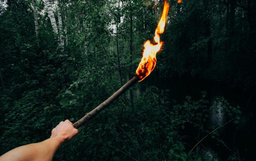 How to Make a Torch in the Woods: 3 of the Best Ways