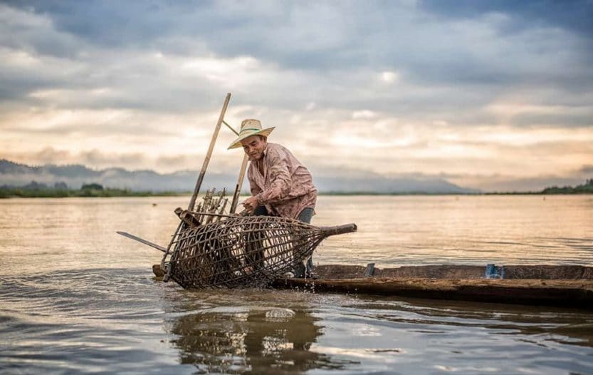 How to Make Fish Traps Best 3 Simplest Ways You Can Build