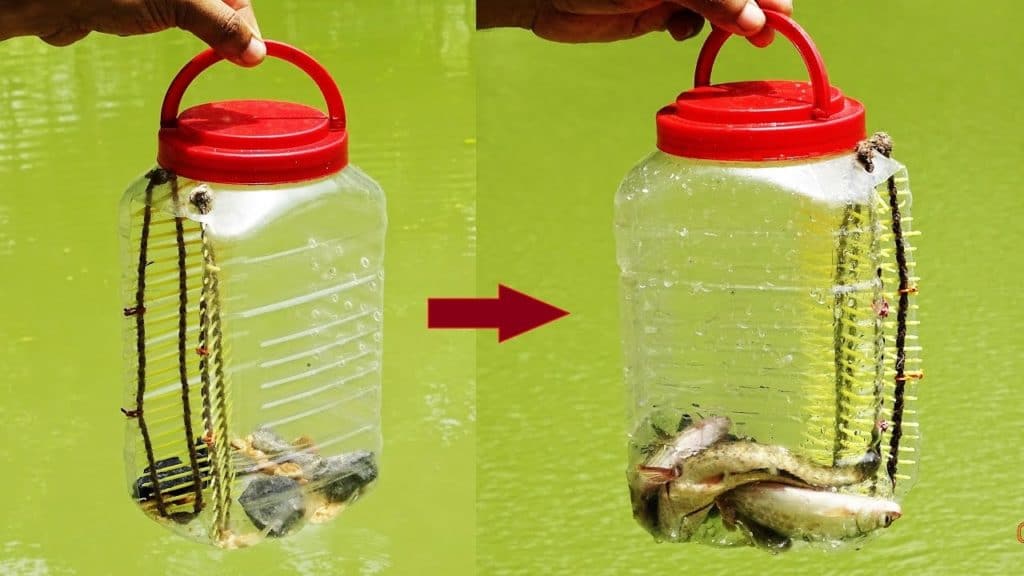 bottle fish trap