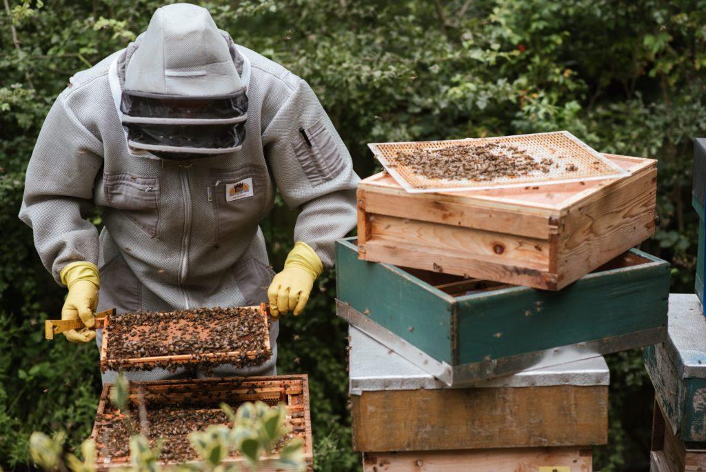 equipment for beekeeping