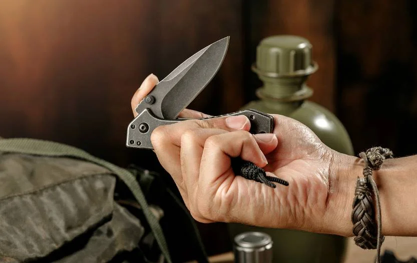 10 Best Assisted Opening Knives [Best Guide for 2023]