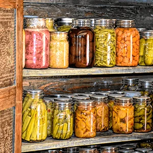 food preservation (food stored in mason jars - canned)