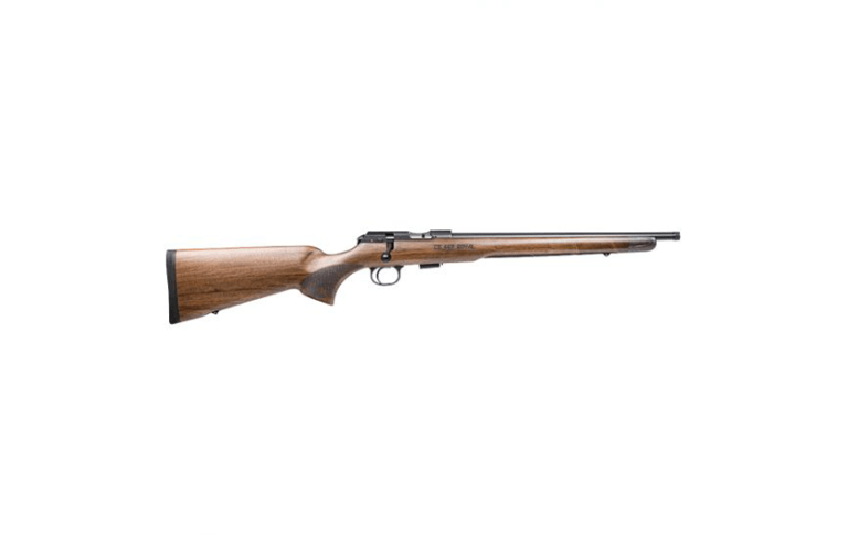 177 vs. 22 for Squirrel Hunting CZ457 rifle
