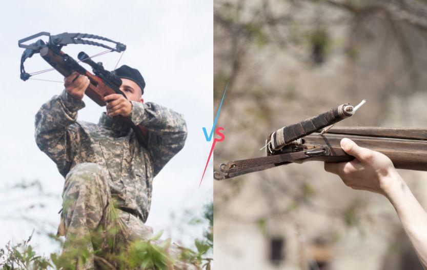 Compound Crossbow vs Recurve Crossbow [Ultimate Comparison]