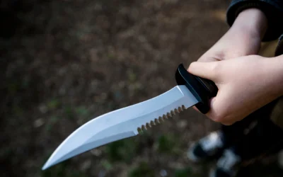 Best Fixed Blade Knife Under $50 [Top 5 Picks]