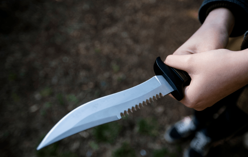 Best Fixed Blade Knife Under $50 [Top 5 Picks]