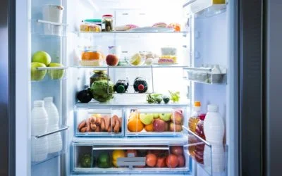 9 Ways To Keep Your Fridge Cold Without Power (Prepper Guide)