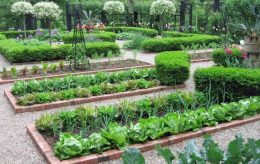 9 Best Gardening Layout Ideas For Perfection